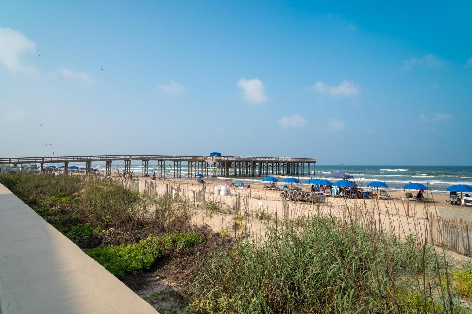 Herons Haven Coastal Elegance With Pool Access 223 South Padre Island Exterior photo