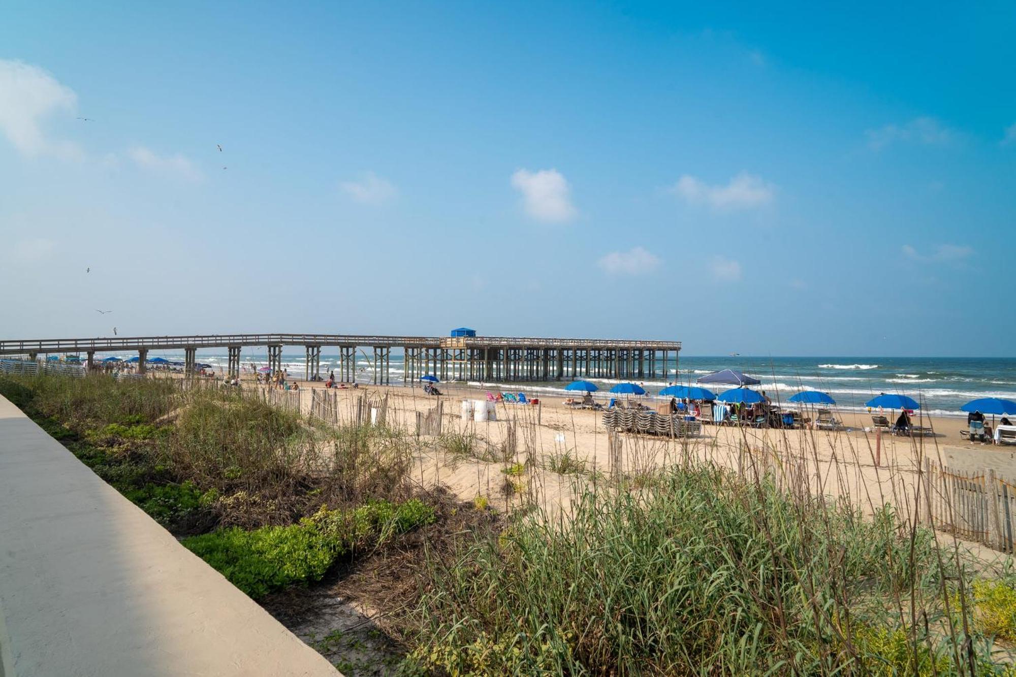 Herons Haven Coastal Elegance With Pool Access 223 Villa South Padre Island Exterior photo